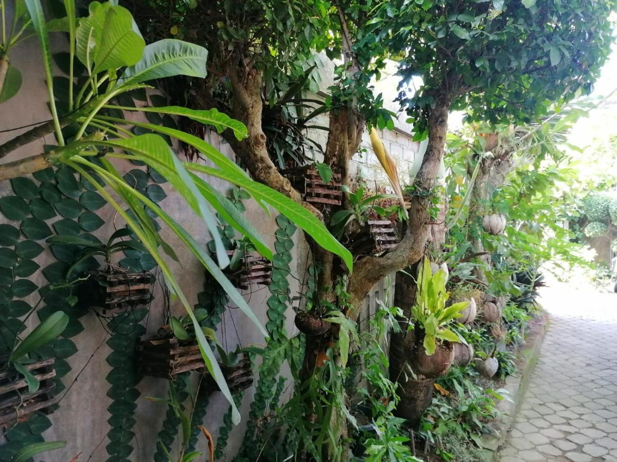 Coliving Bali Sweet Home Kost Lengkap Di Tabanan Kota Экстерьер фото