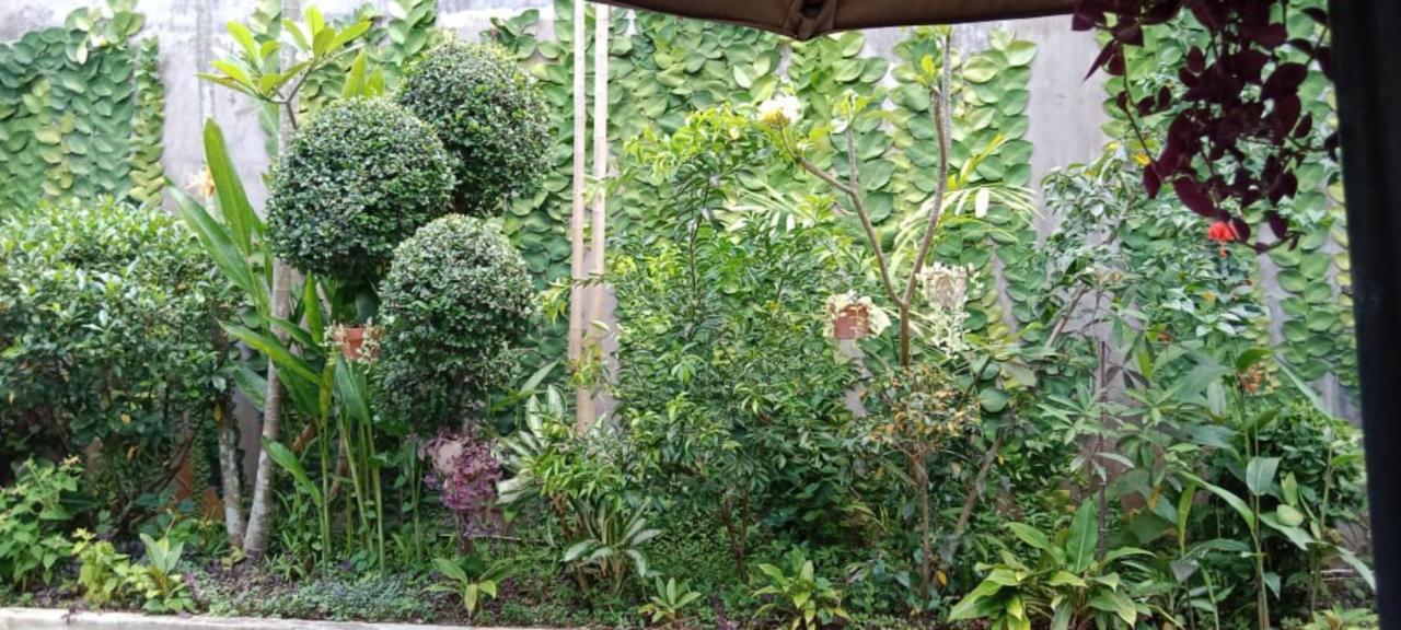 Coliving Bali Sweet Home Kost Lengkap Di Tabanan Kota Экстерьер фото