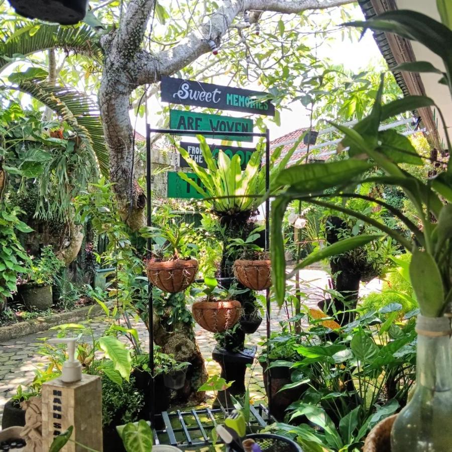 Coliving Bali Sweet Home Kost Lengkap Di Tabanan Kota Экстерьер фото