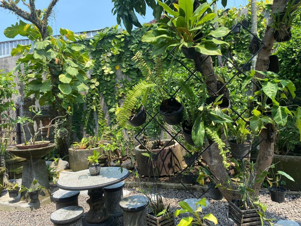 Coliving Bali Sweet Home Kost Lengkap Di Tabanan Kota Экстерьер фото
